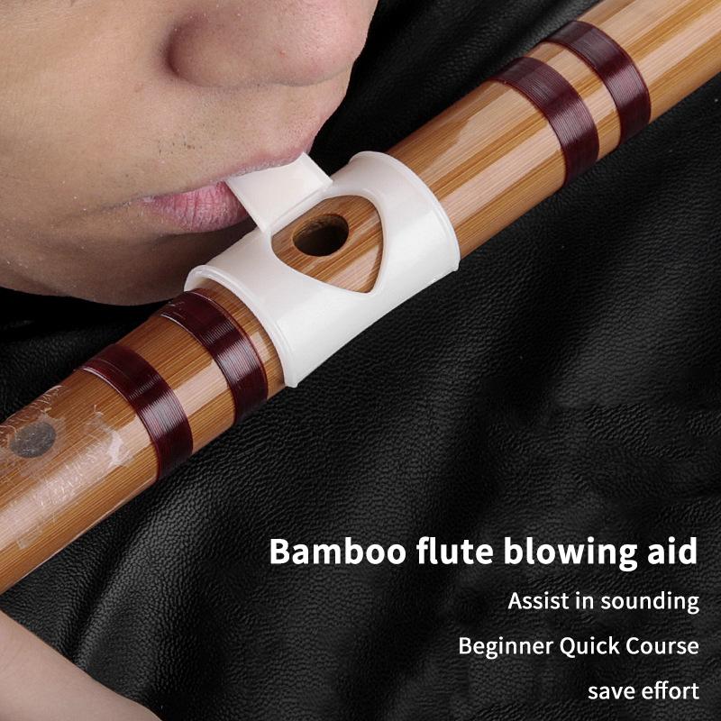 أداة مساعدة في النفخ لآلة الفل - مراجعة Musical Instrument You Blow Into وسعره